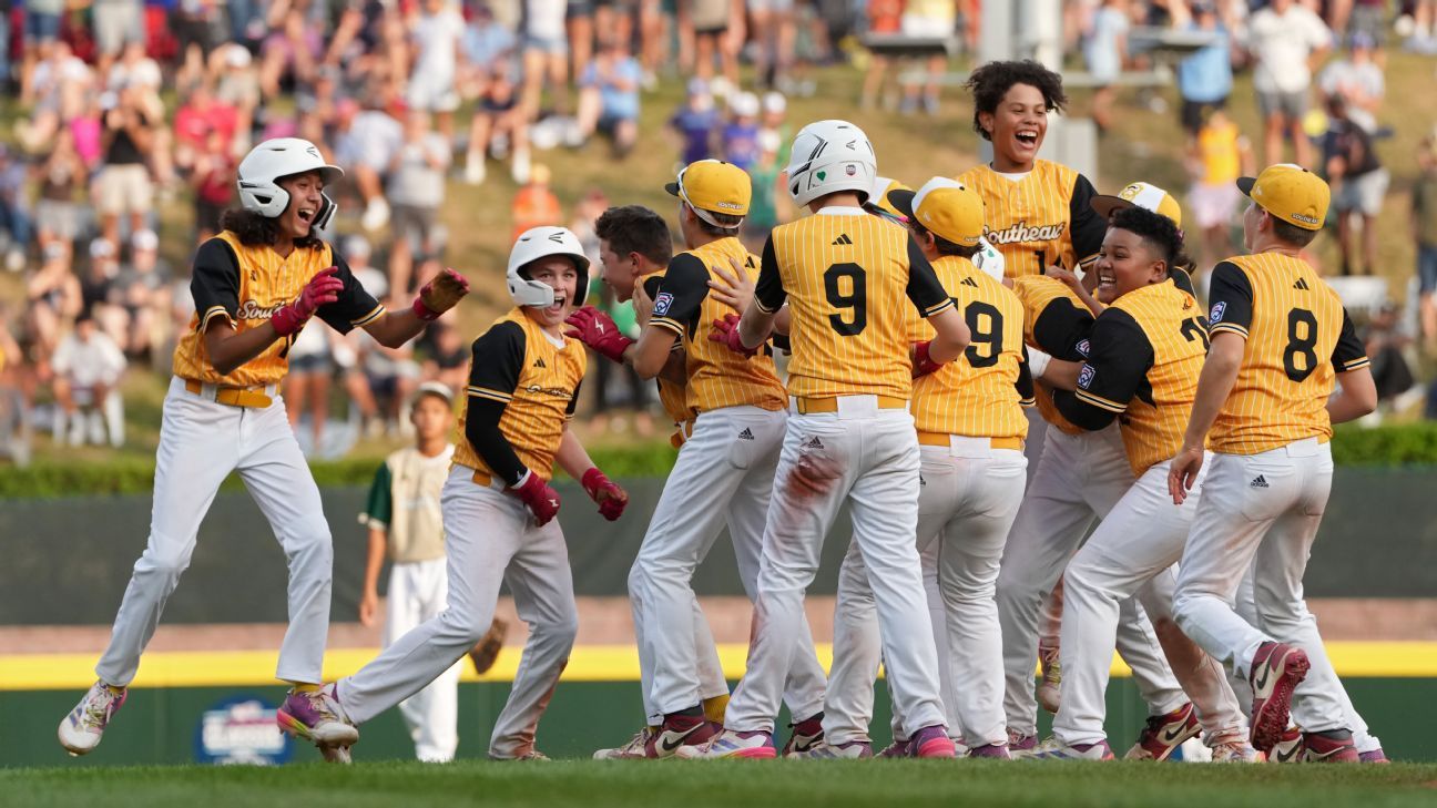 投入了极具 投入了极具