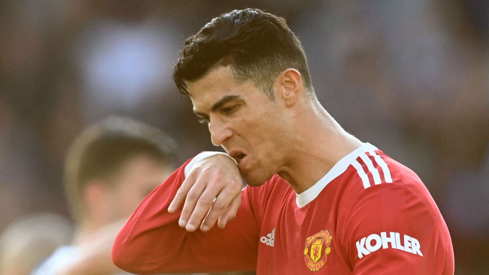 预测均将为 预测均将为