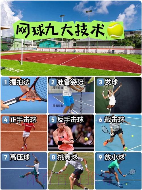 网球运动管理中心发布改革措施 多维度构建网球事业高质量发展新格局